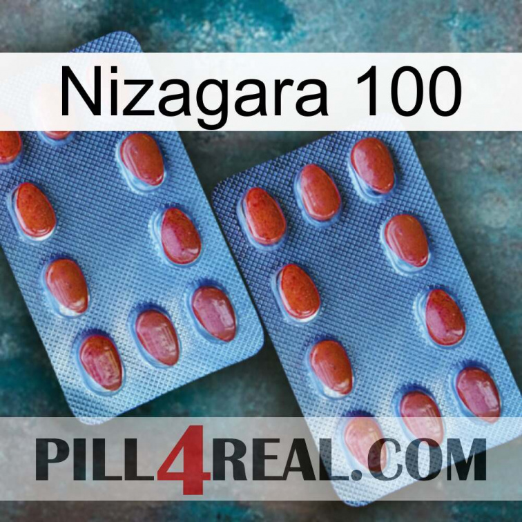 Nizagara 100 05